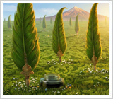 /uploads/Home.Pic.Oth.17.png