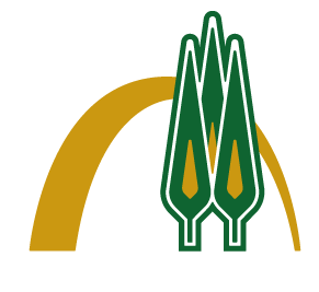 مدیریت توسعه فناوری اطلاعات، امنیت و هوشمندسازی